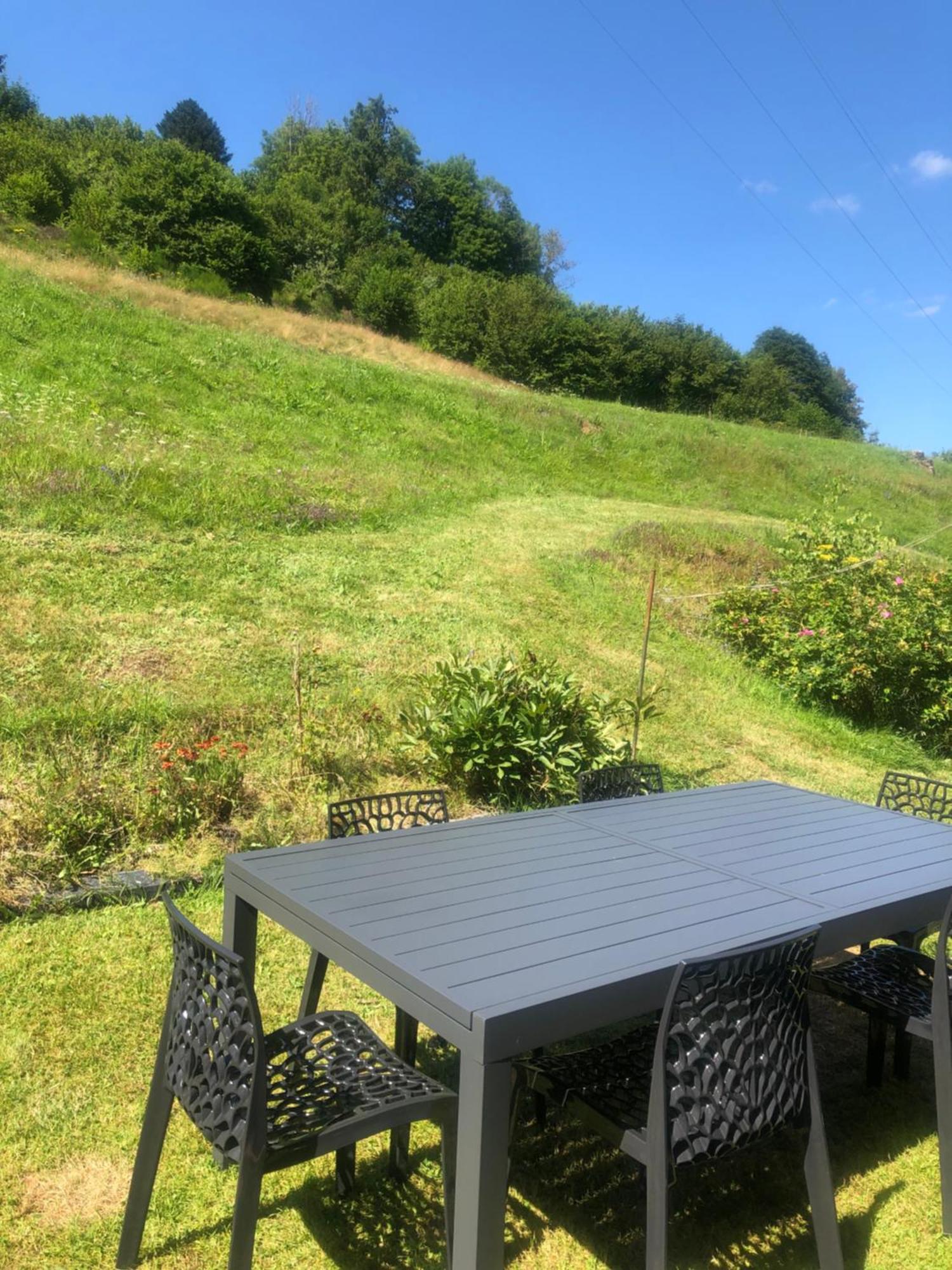 La Maisonnee Heureuse La Bresse Extérieur photo
